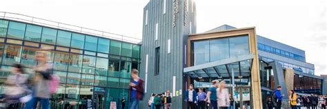 university of sheffield clearing.
